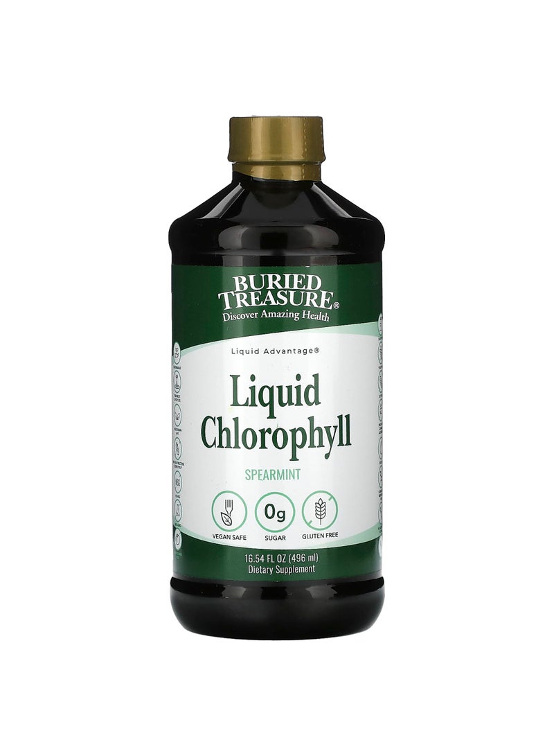 Liquid Chlorophyll, Spearmint, 16.54 fl oz (496 ml)